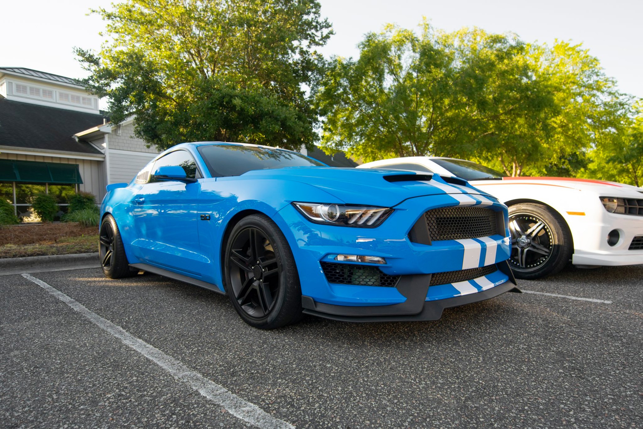 grabber blue metallic mustang