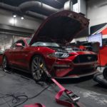 Ruby Tint Red 2019 Ford Mustang GT 1