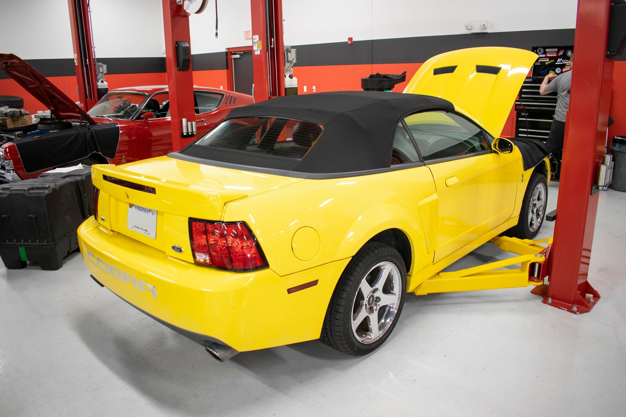 2003 Ford Mustang Svt Cobra Zinc Yellow National Speed