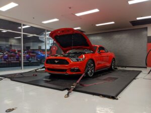 Mustang GT Dyno