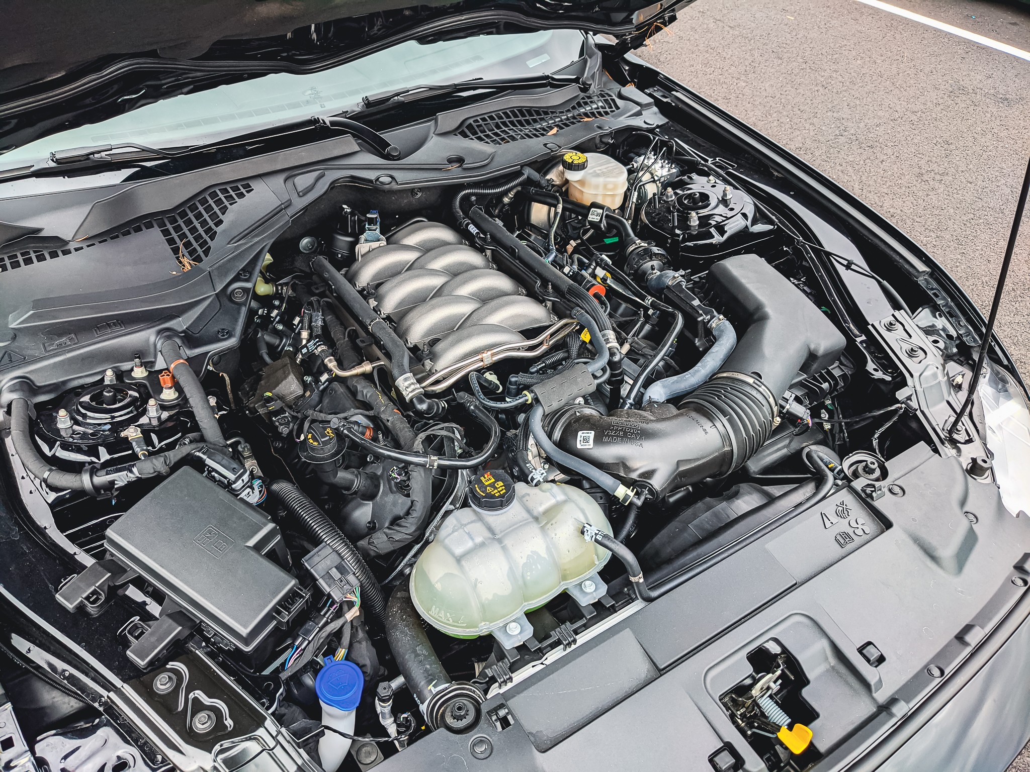 ford mustang stock intake manifold